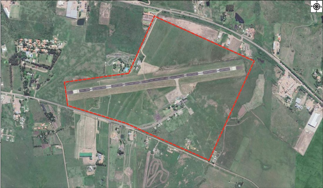 Aeroporto internacional — estudos de fauna e flora